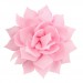 Haarbloem spelt roze